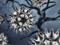 virus virus